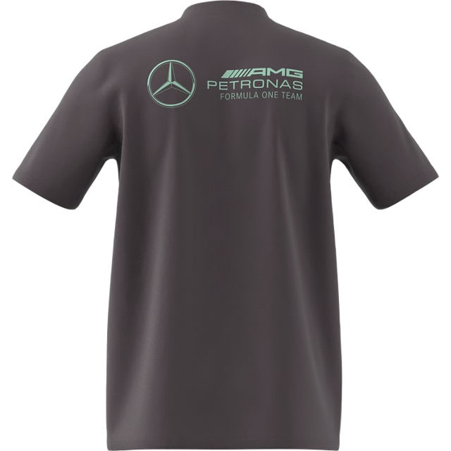 Pánské tričko, Mercedes-AMG F1 - šedá, M