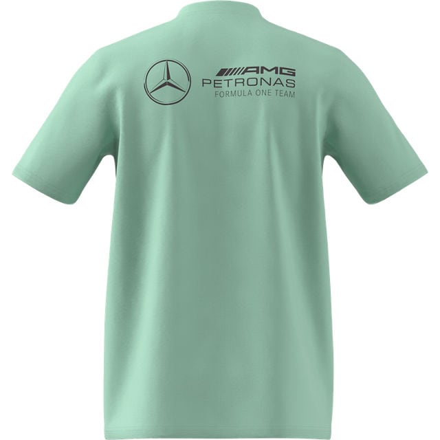 Pánské tričko, Mercedes-AMG F1 - zelená, XS