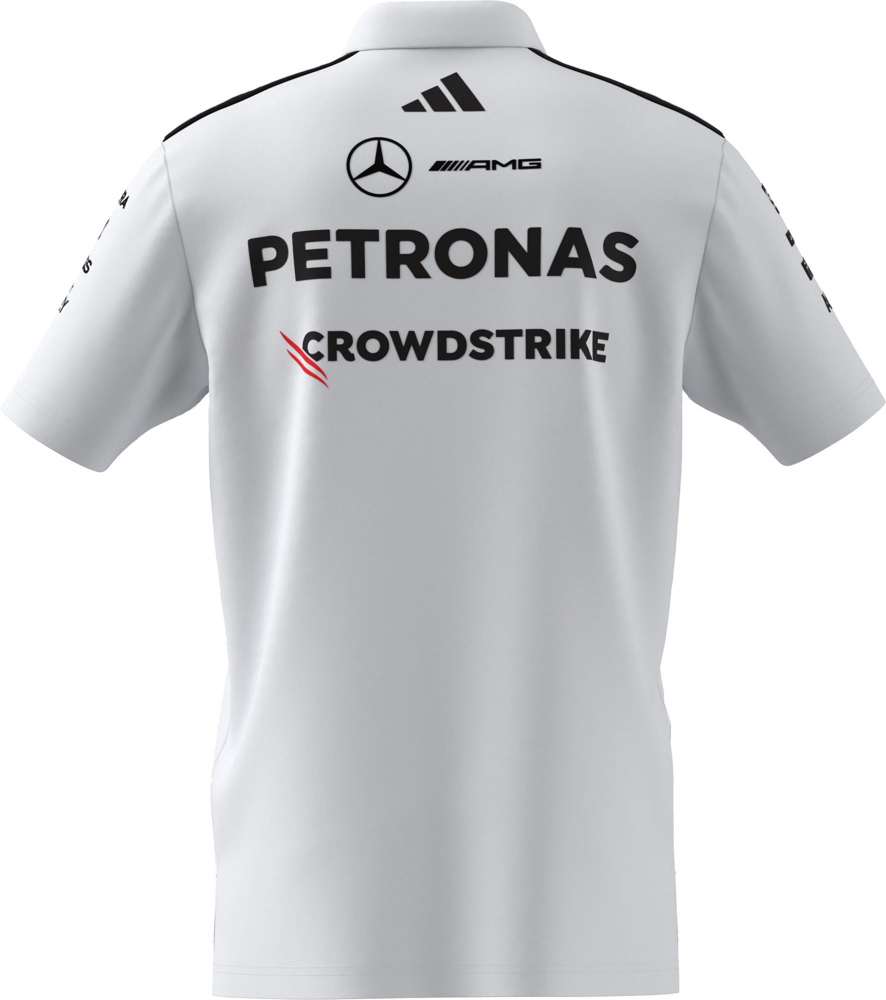 Pánské triko polo, Tým, Mercedes-AMG F1 - bílá, L